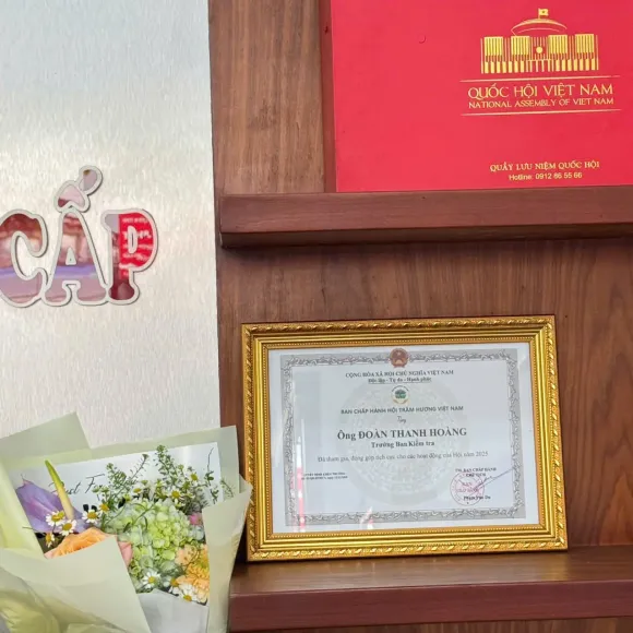 Trầm Hương Thế Hữu – Hành Trình Ghi Dấu Những Thành Tựu Vững Bền 